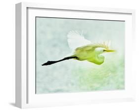 Soaring with Determination-Mary Lou Johnson-Framed Photo