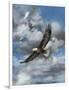 Soaring-Carolyn Mock-Framed Art Print