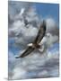 Soaring-Carolyn Mock-Mounted Art Print