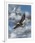 Soaring-Carolyn Mock-Framed Art Print