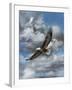 Soaring-Carolyn Mock-Framed Art Print