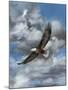 Soaring-Carolyn Mock-Mounted Art Print