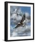 Soaring-Carolyn Mock-Framed Art Print