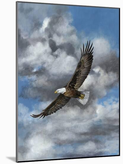 Soaring-Carolyn Mock-Mounted Art Print