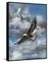 Soaring-Carolyn Mock-Framed Stretched Canvas