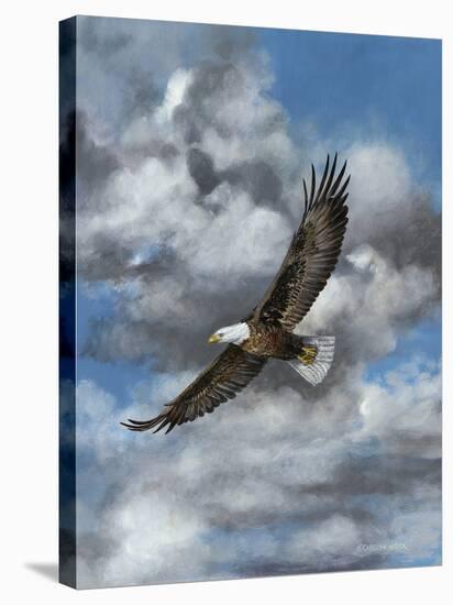 Soaring-Carolyn Mock-Stretched Canvas