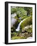 Soca, close source of Soca, Triglav national park, Julian Alps, Slovenia-Michael Jaeschke-Framed Photographic Print