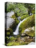 Soca, close source of Soca, Triglav national park, Julian Alps, Slovenia-Michael Jaeschke-Stretched Canvas