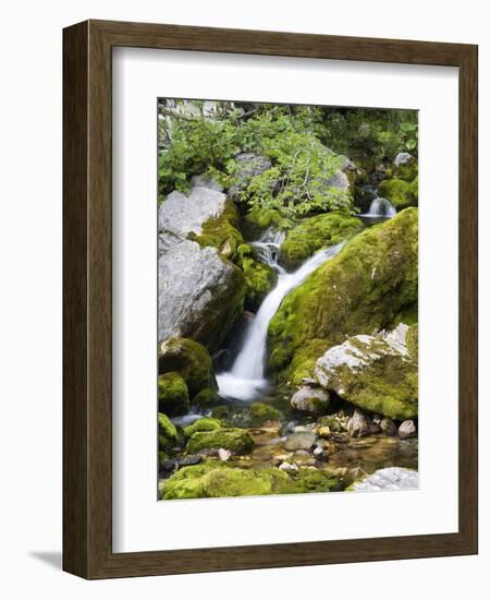 Soca, close source of Soca, Triglav national park, Julian Alps, Slovenia-Michael Jaeschke-Framed Photographic Print