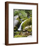 Soca, close source of Soca, Triglav national park, Julian Alps, Slovenia-Michael Jaeschke-Framed Photographic Print