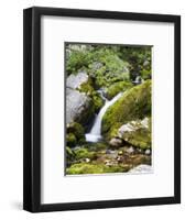 Soca, close source of Soca, Triglav national park, Julian Alps, Slovenia-Michael Jaeschke-Framed Photographic Print