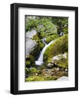 Soca, close source of Soca, Triglav national park, Julian Alps, Slovenia-Michael Jaeschke-Framed Photographic Print