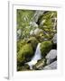 Soca, close source of Soca, Triglav national park, Julian Alps, Slovenia-Michael Jaeschke-Framed Photographic Print