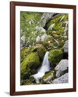 Soca, close source of Soca, Triglav national park, Julian Alps, Slovenia-Michael Jaeschke-Framed Photographic Print