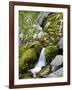 Soca, close source of Soca, Triglav national park, Julian Alps, Slovenia-Michael Jaeschke-Framed Photographic Print