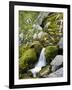 Soca, close source of Soca, Triglav national park, Julian Alps, Slovenia-Michael Jaeschke-Framed Photographic Print