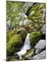 Soca, close source of Soca, Triglav national park, Julian Alps, Slovenia-Michael Jaeschke-Mounted Photographic Print