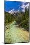 Soca River and Julian Alps in the Soca Valley-Matthew Williams-Ellis-Mounted Photographic Print