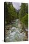 Soca River in the Soca Valley-Matthew Williams-Ellis-Stretched Canvas