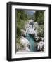 Soca River with Clear Emerald Water Flowing Between Eroded Rocks in Trenta Valley in Summer-Pearl Bucknall-Framed Photographic Print