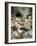 Soca, Triglav national park, Julian Alps, Slovenia-Michael Jaeschke-Framed Photographic Print