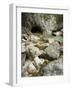 Soca, Triglav national park, Julian Alps, Slovenia-Michael Jaeschke-Framed Photographic Print