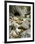 Soca, Triglav national park, Julian Alps, Slovenia-Michael Jaeschke-Framed Photographic Print