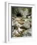 Soca, Triglav national park, Julian Alps, Slovenia-Michael Jaeschke-Framed Photographic Print