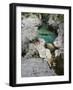 Soca, Triglav national park, Julian Alps, Slovenia-Michael Jaeschke-Framed Photographic Print