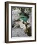 Soca, Triglav national park, Julian Alps, Slovenia-Michael Jaeschke-Framed Photographic Print