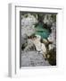 Soca, Triglav national park, Julian Alps, Slovenia-Michael Jaeschke-Framed Photographic Print