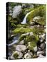 Soca, waterfall close source of the So?a, Triglav national park, Julian Alps, Slovenia-Michael Jaeschke-Stretched Canvas