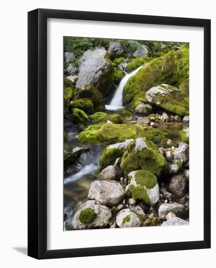 Soca, waterfall close source of the So?a, Triglav national park, Julian Alps, Slovenia-Michael Jaeschke-Framed Photographic Print