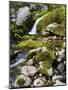 Soca, waterfall close source of the So?a, Triglav national park, Julian Alps, Slovenia-Michael Jaeschke-Mounted Photographic Print