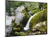 soca waterfall close the source, Triglav national park, Julian Alps, Slovenia-Michael Jaeschke-Mounted Photographic Print