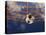 Soccer Ball Going Into Goal Net-Randy Faris-Stretched Canvas