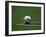 Soccer Ball in Corner Kick Position-Paul Sutton-Framed Photographic Print