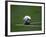 Soccer Ball in Corner Kick Position-Paul Sutton-Framed Photographic Print