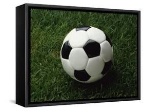 Soccer Ball in Grass-null-Framed Stretched Canvas