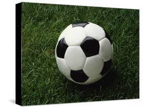 Soccer Ball in Grass-null-Stretched Canvas