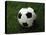 Soccer Ball in Grass-null-Stretched Canvas