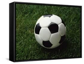 Soccer Ball in Grass-null-Framed Stretched Canvas