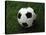 Soccer Ball in Grass-null-Stretched Canvas