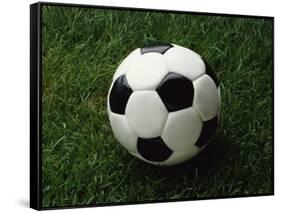 Soccer Ball in Grass-null-Framed Stretched Canvas