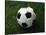 Soccer Ball in Grass-null-Stretched Canvas