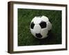 Soccer Ball in Grass-null-Framed Premium Photographic Print