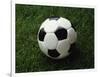 Soccer Ball in Grass-null-Framed Photographic Print