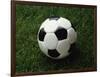 Soccer Ball in Grass-null-Framed Photographic Print