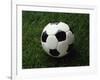 Soccer Ball in Grass-null-Framed Photographic Print