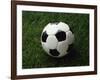 Soccer Ball in Grass-null-Framed Photographic Print